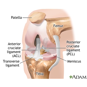 ACL Injury and Diagnosis