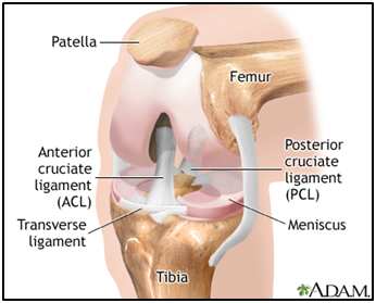 ACL Injury and Diagnosis